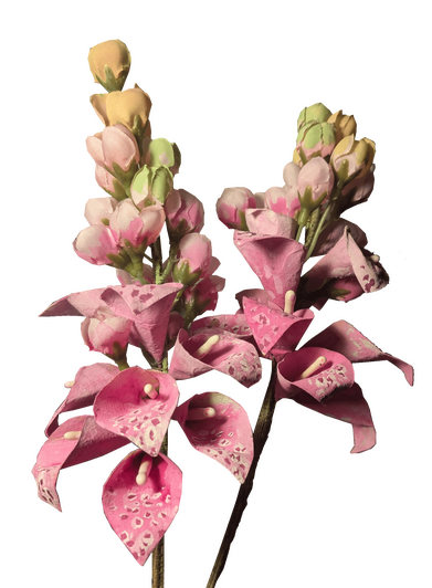 Painted foxgloves