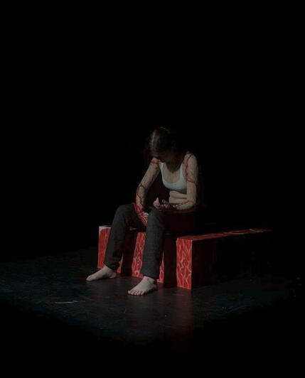 Performance photo 8