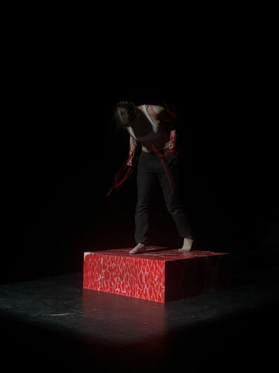 Performance photo 5